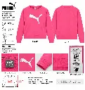 file_00000000213c820bac3399e7dc86e37c.webp